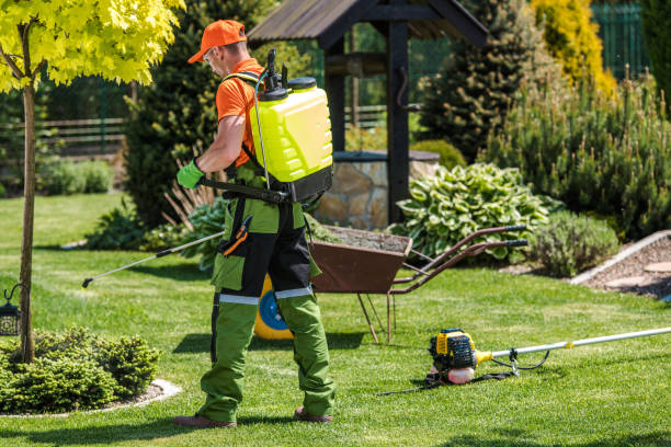 Best Lawn Pest Control  in Hawley, PA